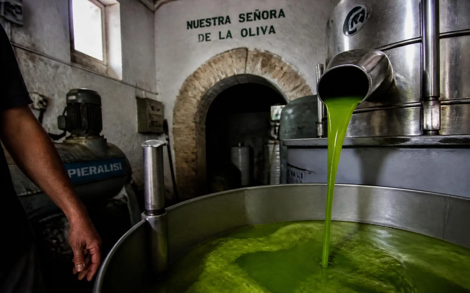 Huile d'olive verte s'écoulant au moulin lors de l'extraction à froid